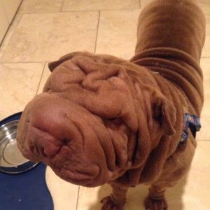 Meet your Posher, Andrew